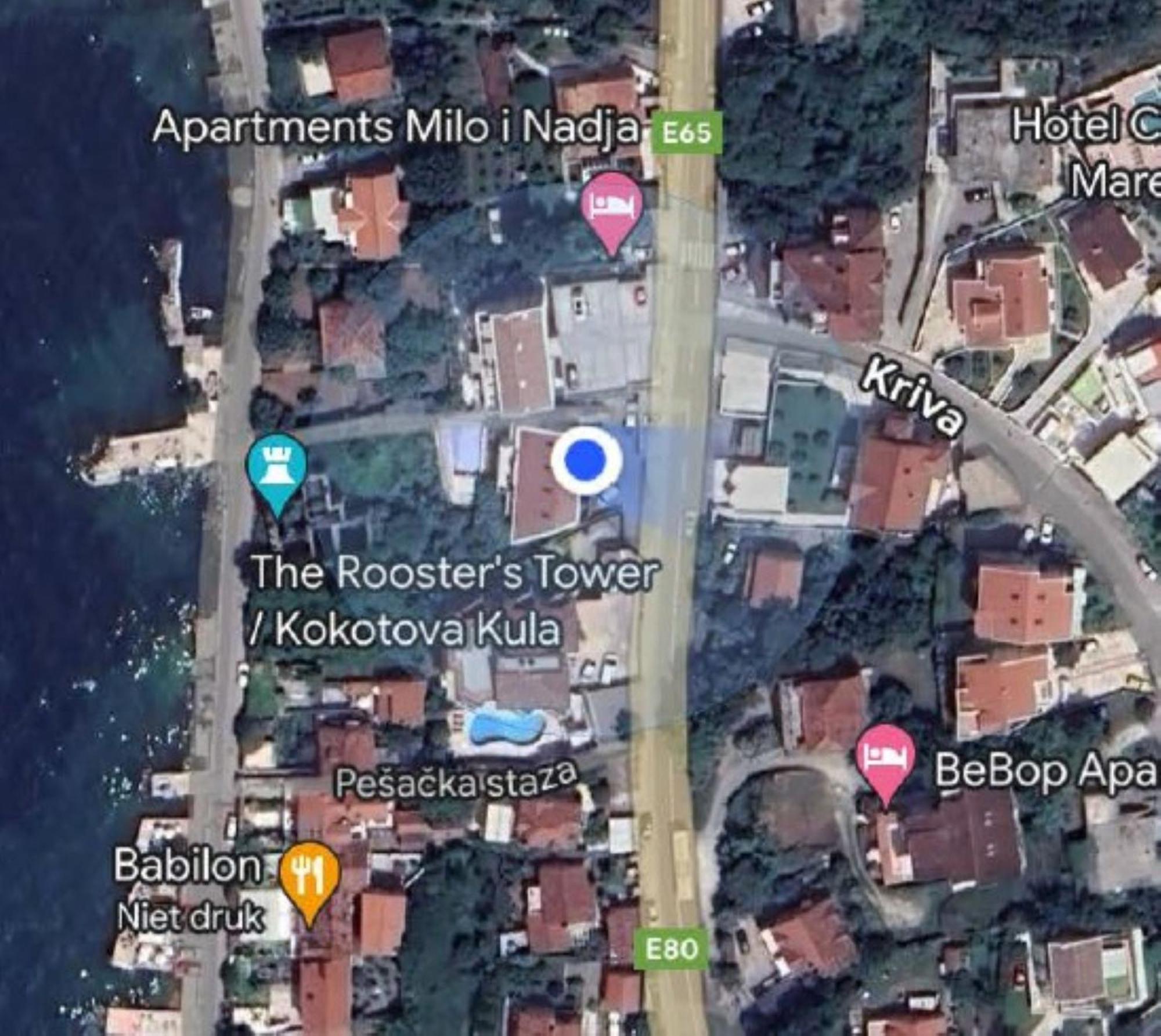 Apartment With Swimmingpool, Seaview And Large Terrace, 1St Floor, Min 2 Persons Dobrota Bagian luar foto